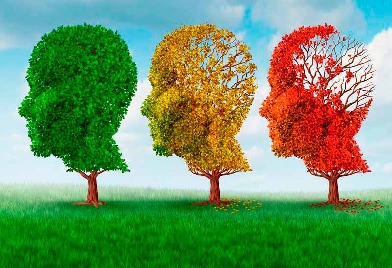 deteriro cognitivo ¿que es exactamente