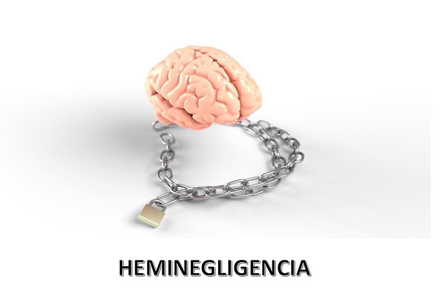 heminegligenciaademto