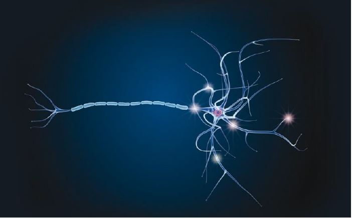 imagencsic noticia ademto