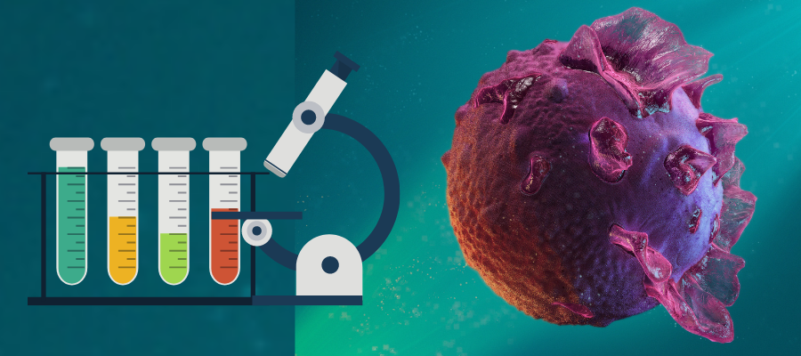 sin título (900 x 400 px)